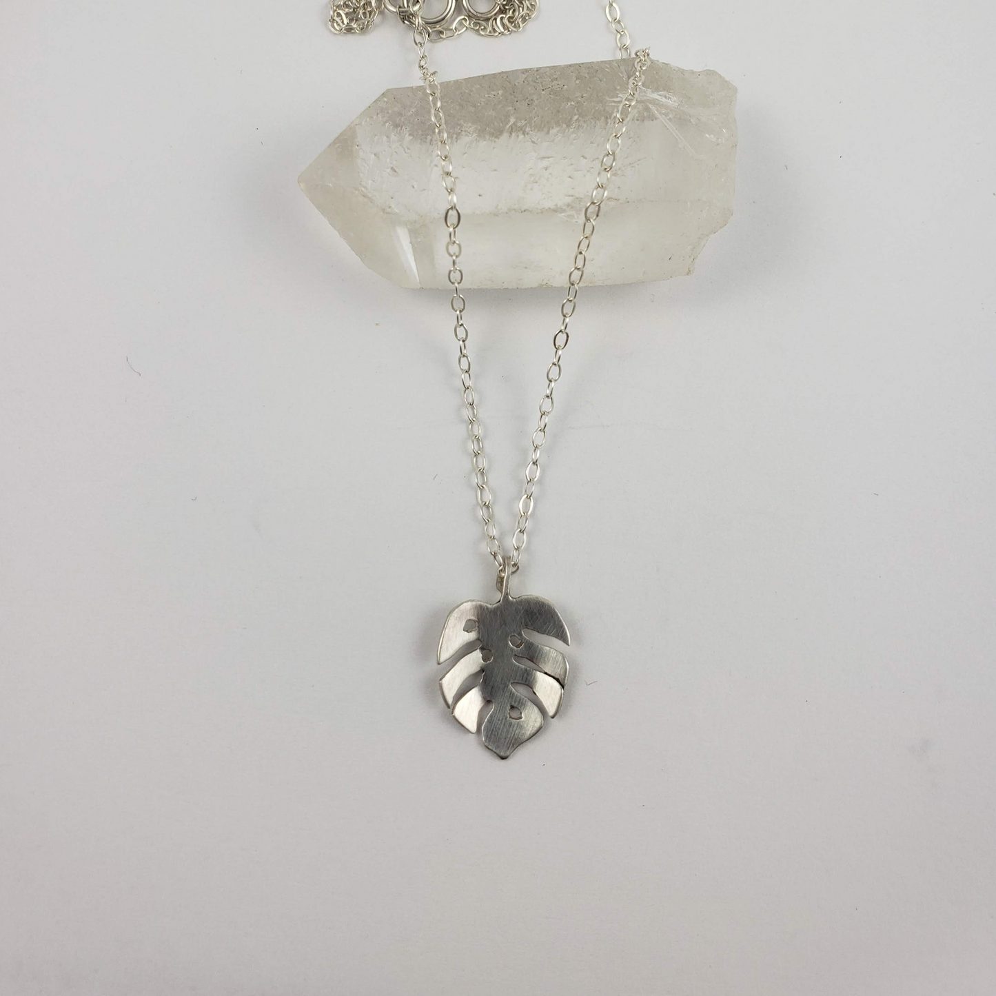 Collar Monstera Pequeño