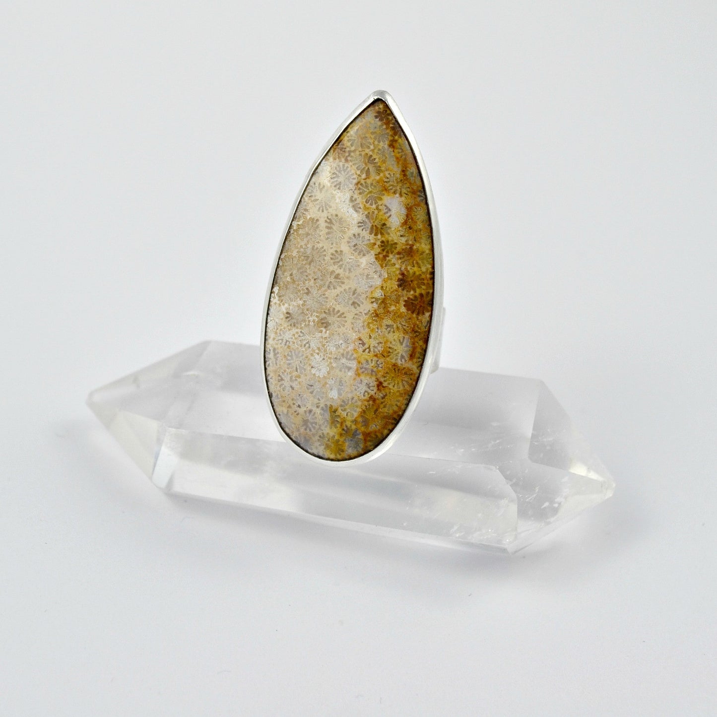 Fossilized Coral Statement Ring - Gemspell