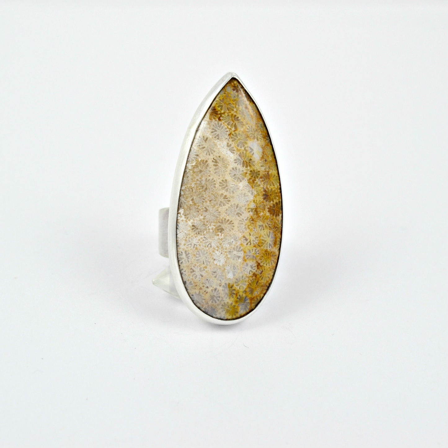 Fossilized Coral Statement Ring - Gemspell
