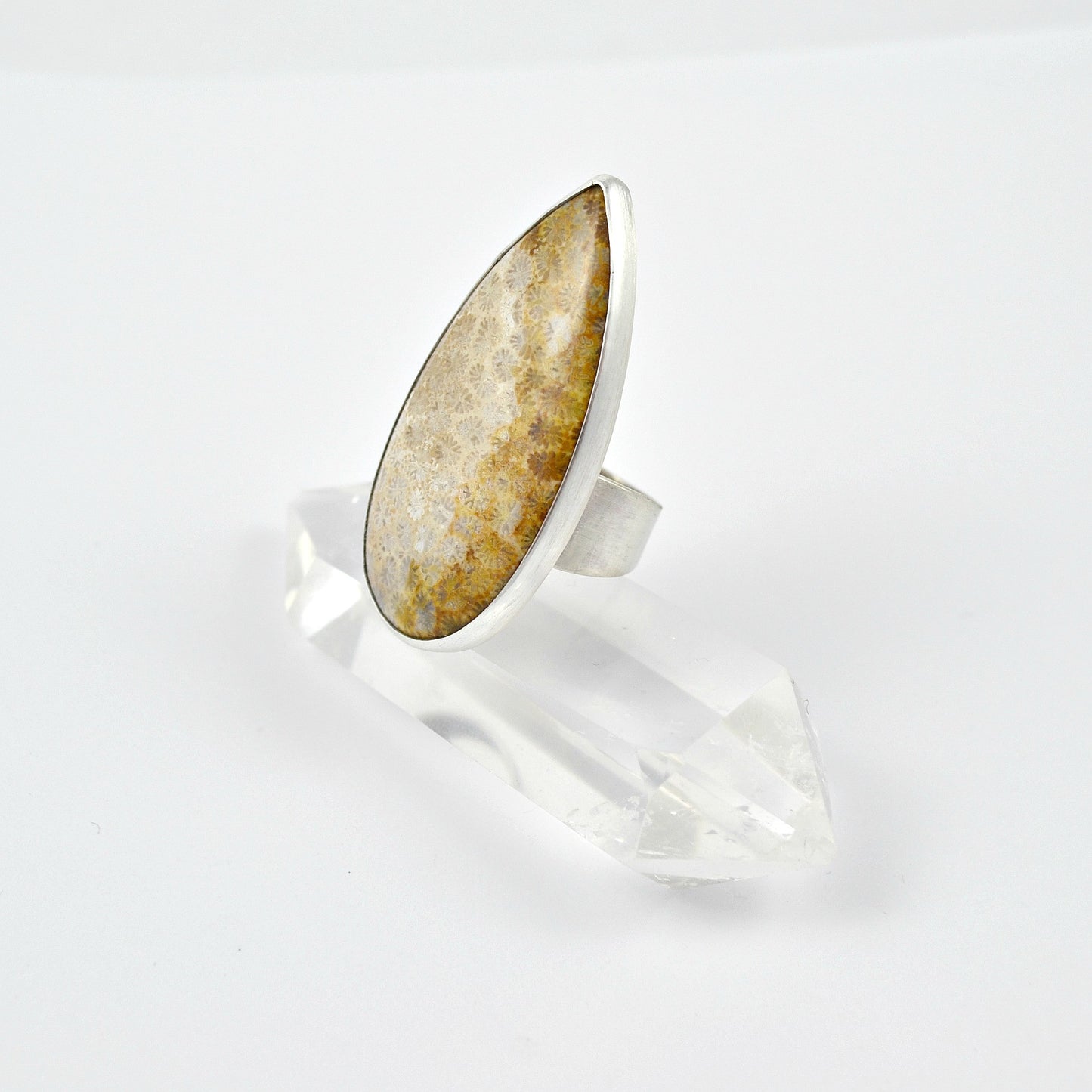 Fossilized Coral Statement Ring - Gemspell